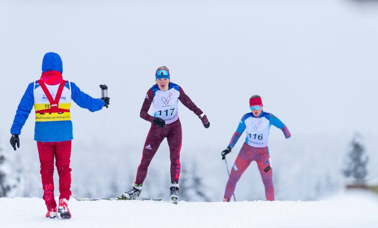 Лыжные гонки