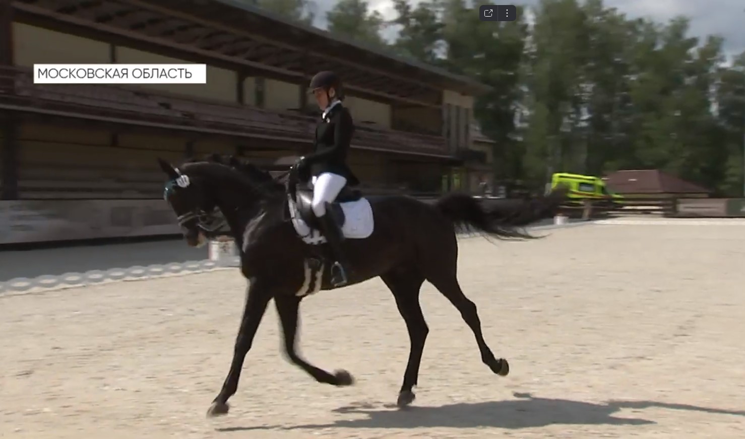 Репортаж телеканала "Матч ТВ" о Всероссийских соревнованиях по конному спорту лиц с ПОДА, проходящих в рамках Летних Игр Паралимпийцев "Мы вместе. Спорт"