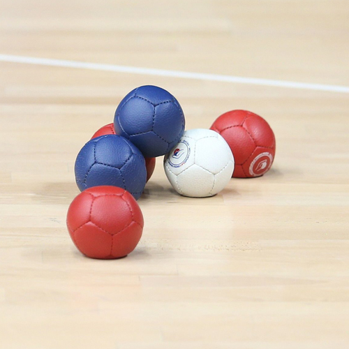 Алексин с 16 по 22 апреля принимает чемпионат России по бочча