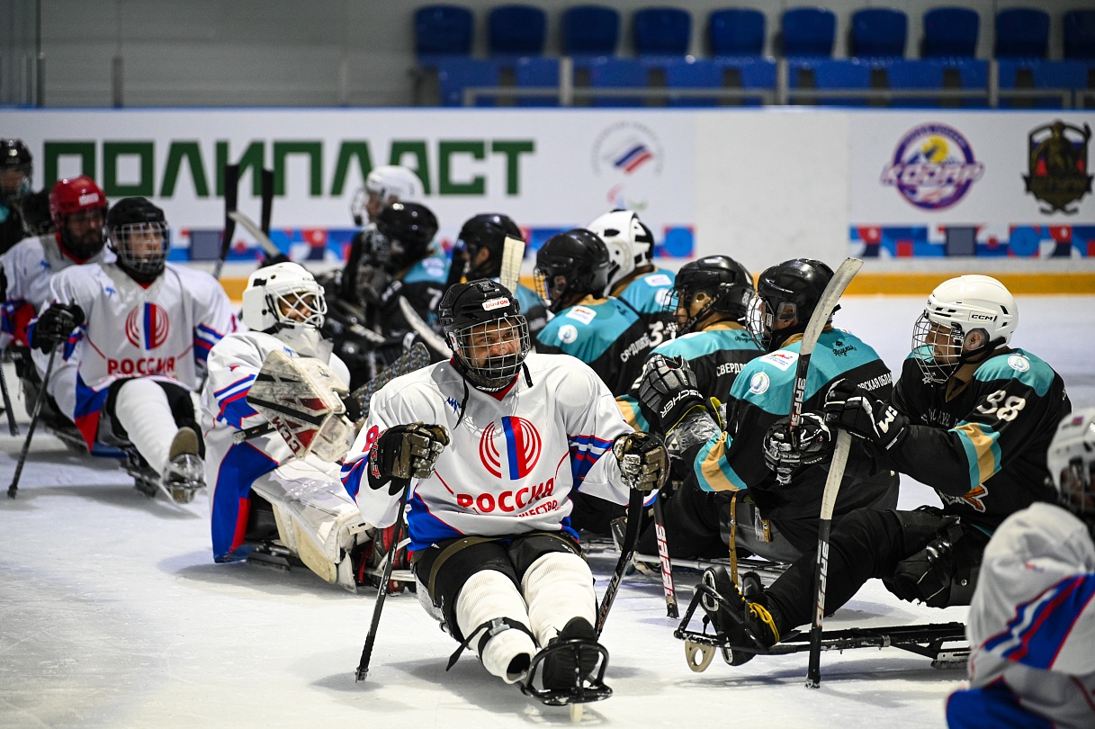 Хоккей-следж