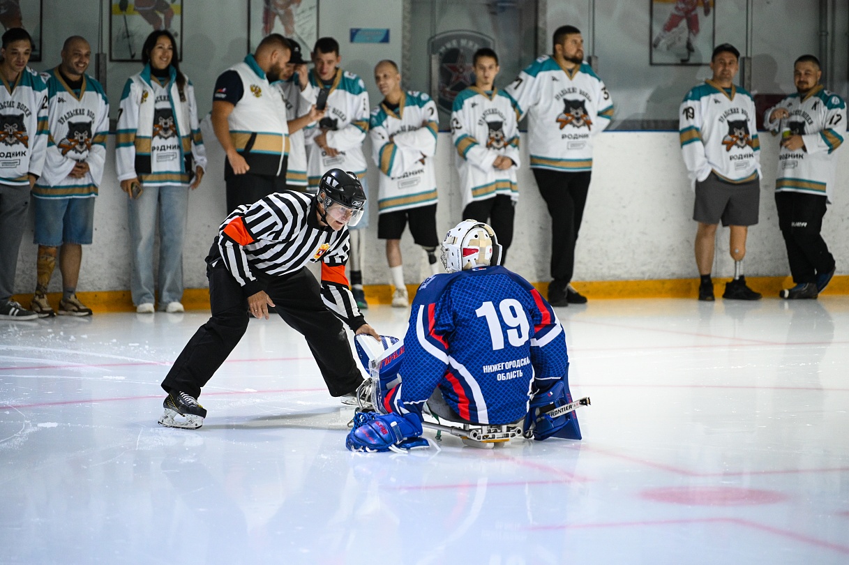 Хоккей-следж